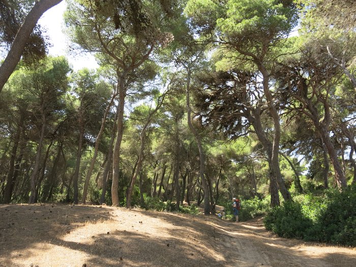 Peloponnes