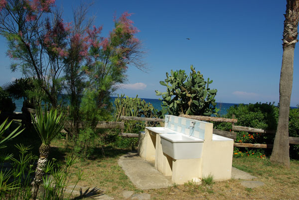 Calamar