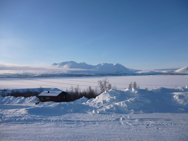 Sarek
