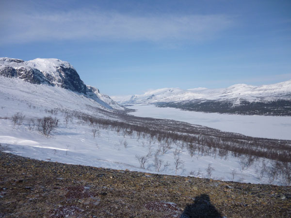 Sarek