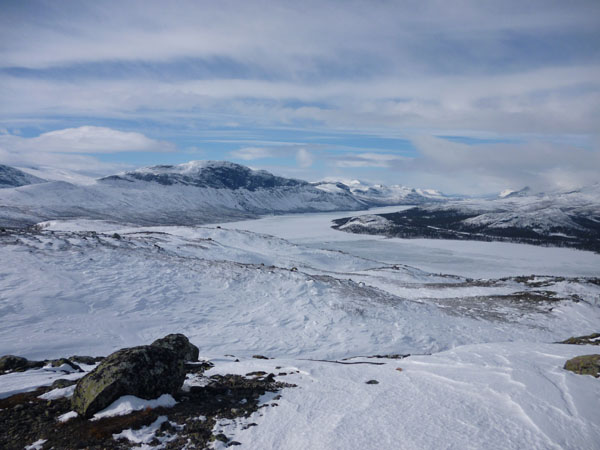 Sarek