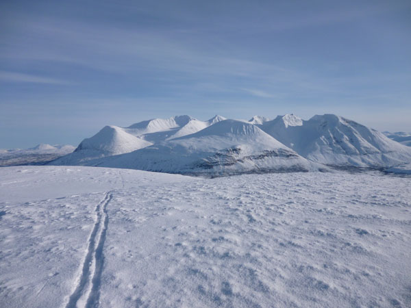 Sarek