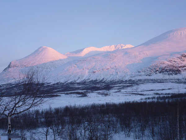 Sarek