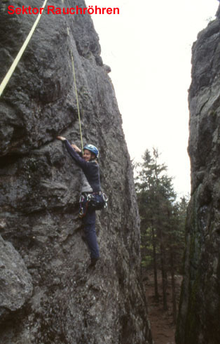 Rauchröhren, Betty in der Rübe