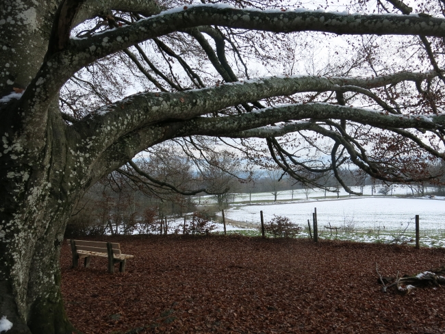 Ilkahöhe