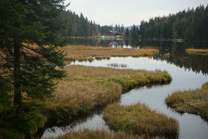 Großer Arbersee