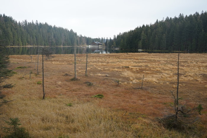 Großer Arbersee