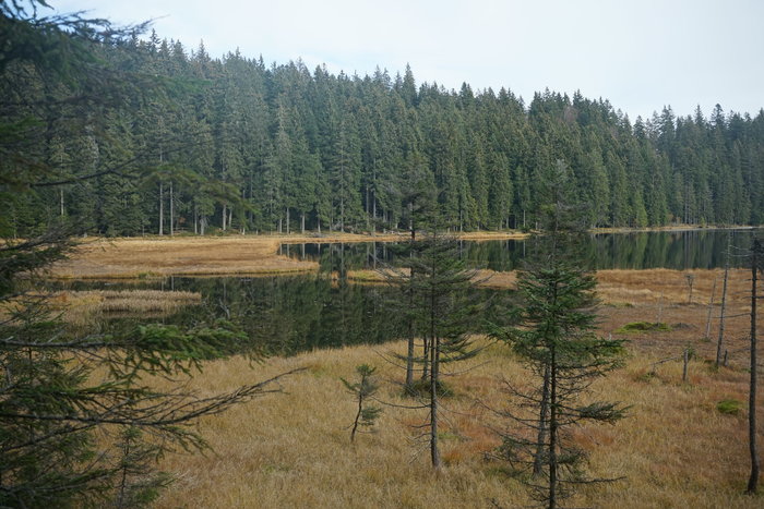 Großer Arbersee