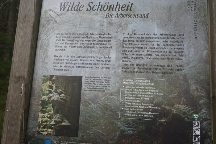 Großer Arbersee