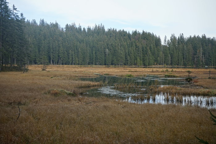 Großer Arbersee