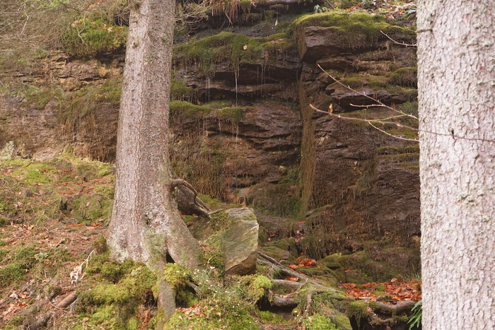 Großer Arbersee