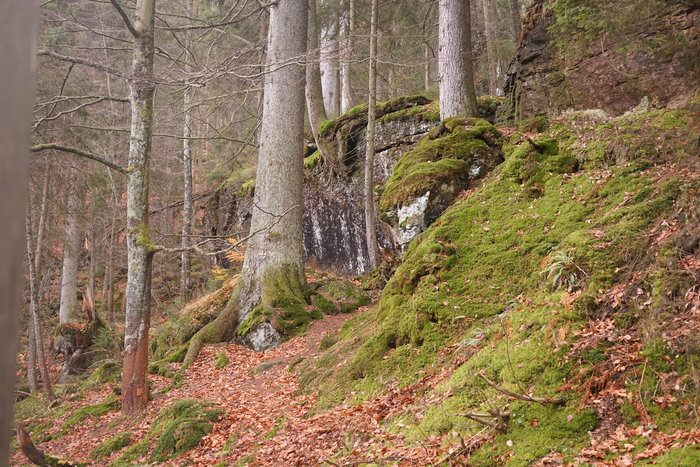Großer Arbersee