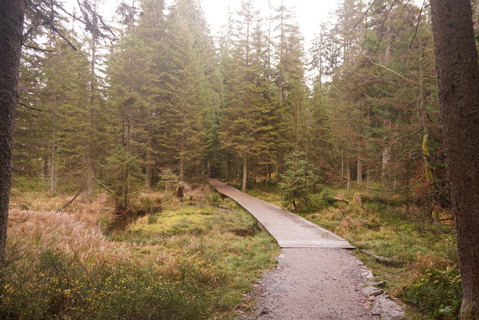 Großer Arbersee