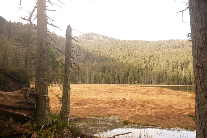 Großer Arbersee