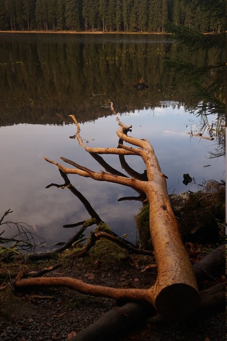 Großer Arbersee
