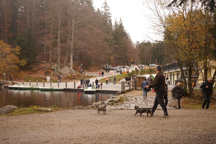 Großer Arbersee