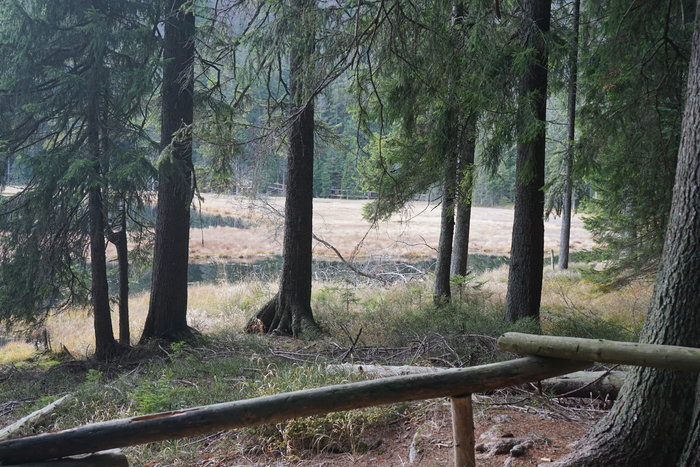 Großer Arbersee