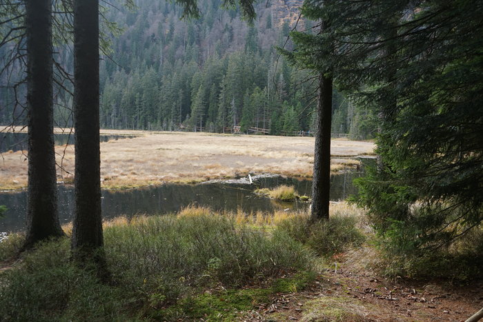 Großer Arbersee