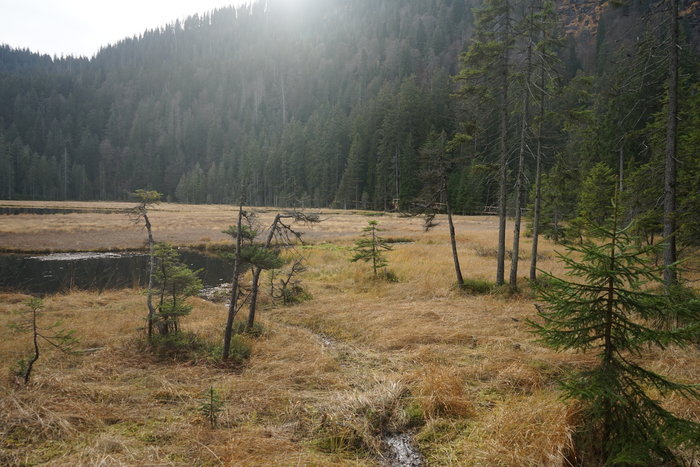 Großer Arbersee