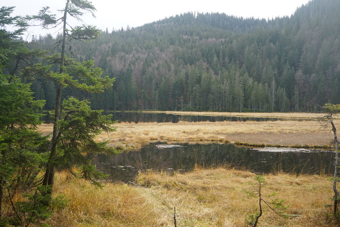 Großer Arbersee