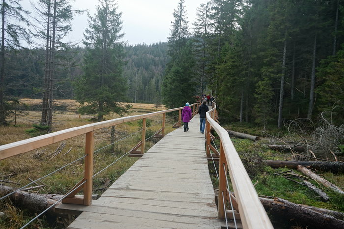Großer Arbersee