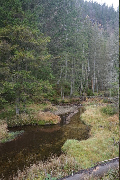 Großer Arbersee