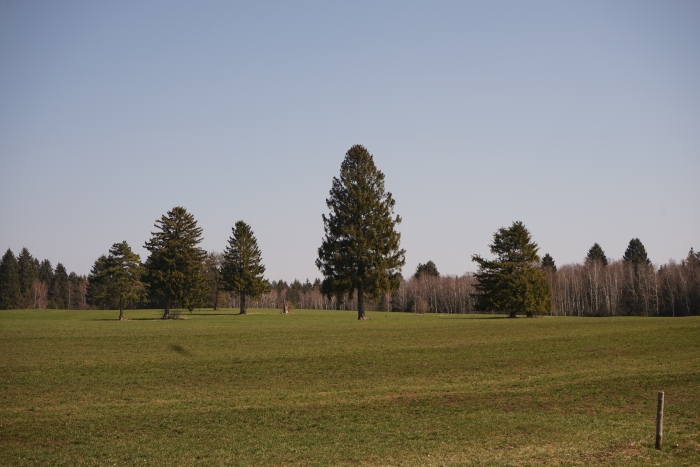 Naturschutzgebiet Mesnerbichl - Andechs