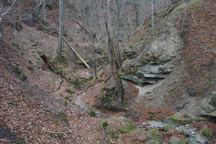 Höhenweg zum Kloster Andechs