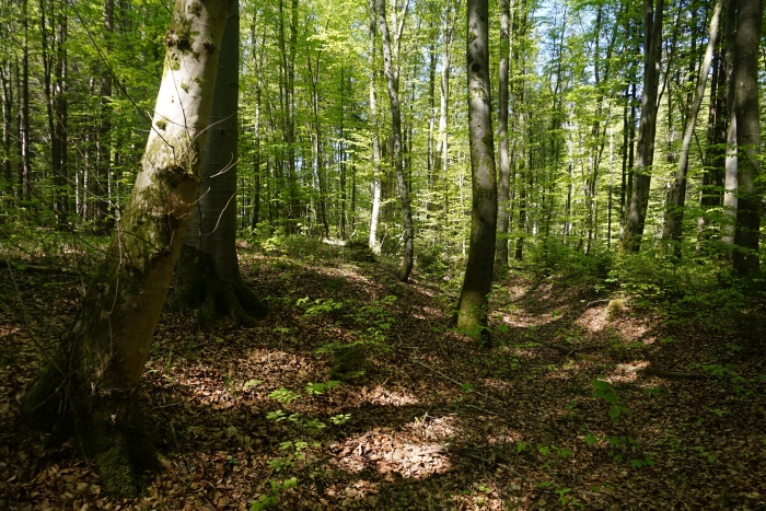 Kleine Windach-Runde