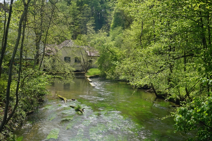 Entlang der Würm
