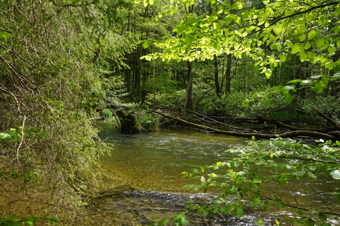 Entlang der Würm