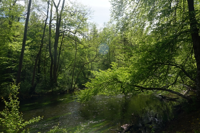 Entlang der Würm