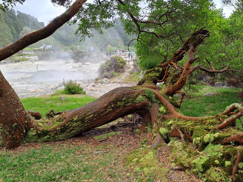 Azoren - São Miguel - Lagoa das Furnas