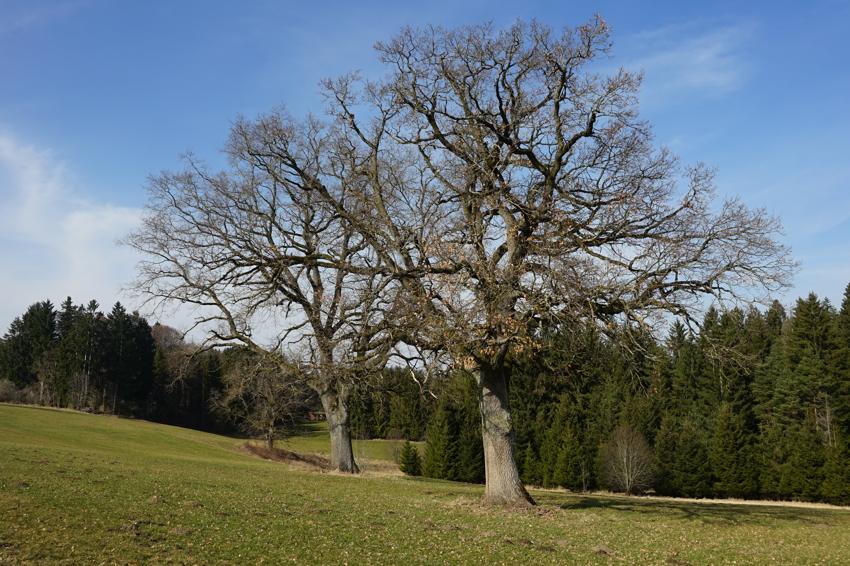 Geisenbrunn - Andechs