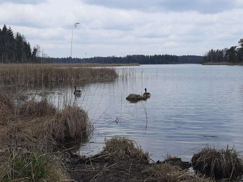Wanderung Osterseen