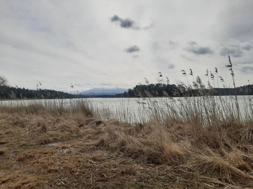 Wanderung Osterseen