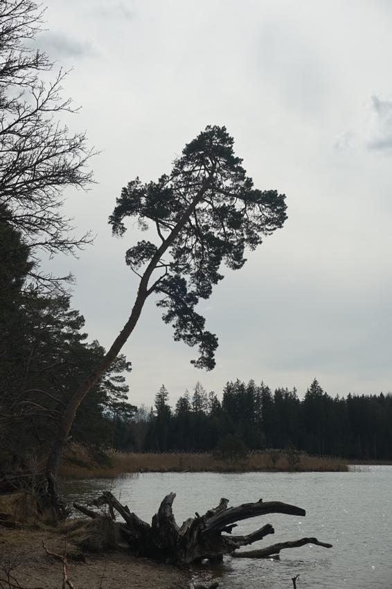 Wanderung Osterseen