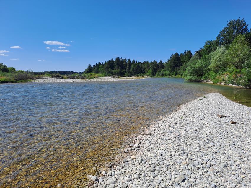 Isar: Tattenkofener Brücke - Marienbrücke