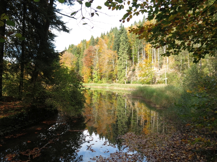 Geierstein