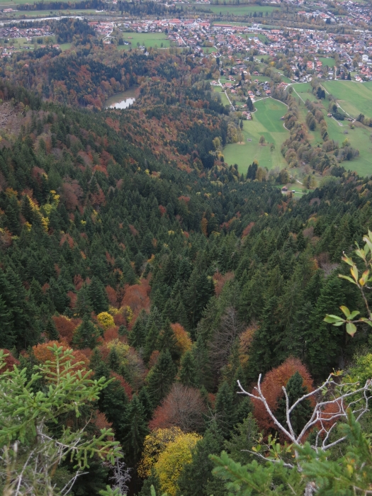 Geierstein