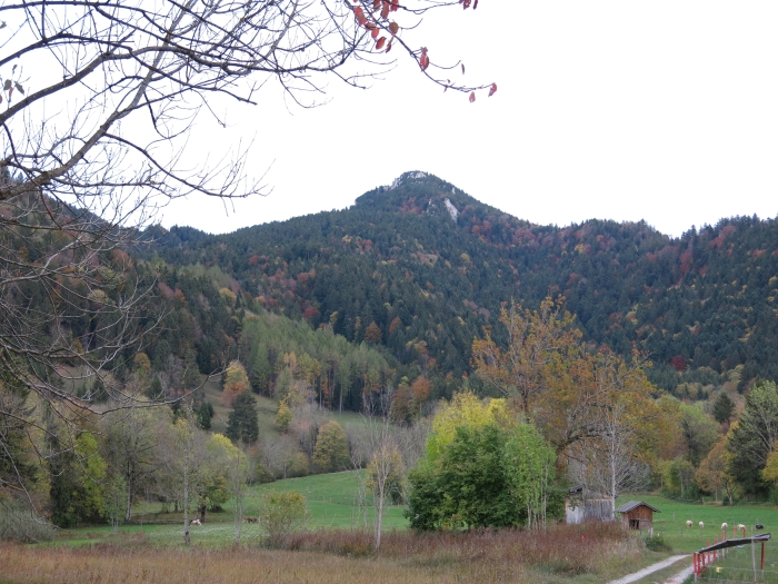 Geierstein
