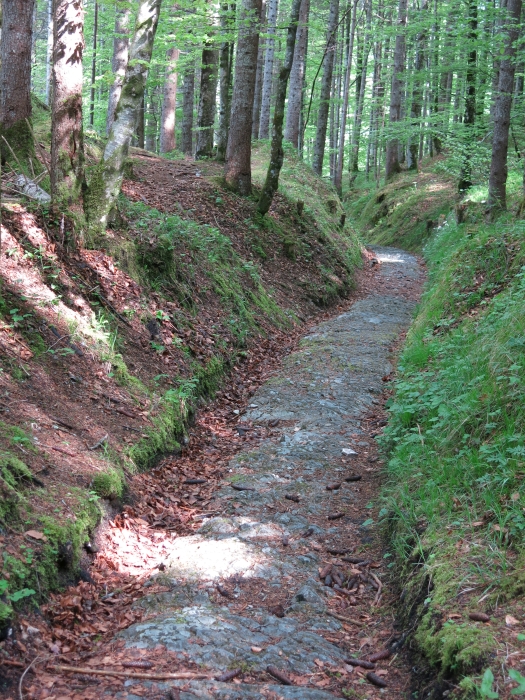 Hoher Kranzberg