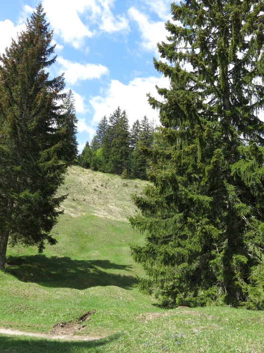 Hoher Kranzberg