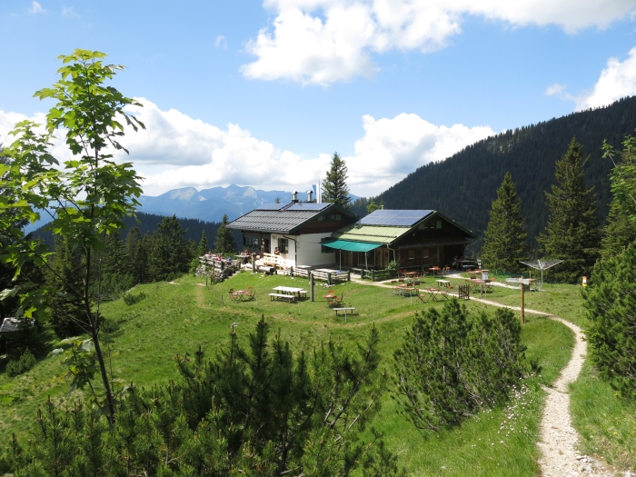 Steinkarkopf
