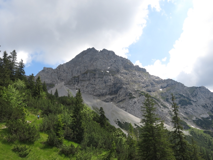 Steinkarkopf