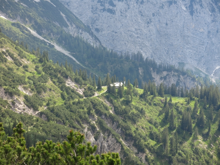 Steinkarkopf