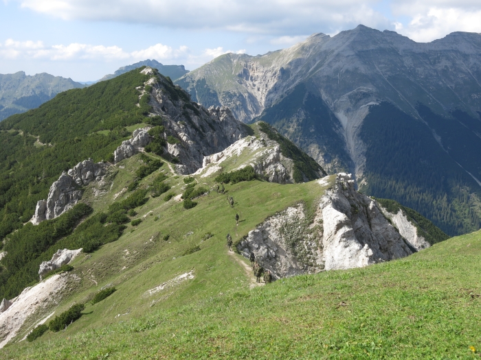 Steinkarkopf