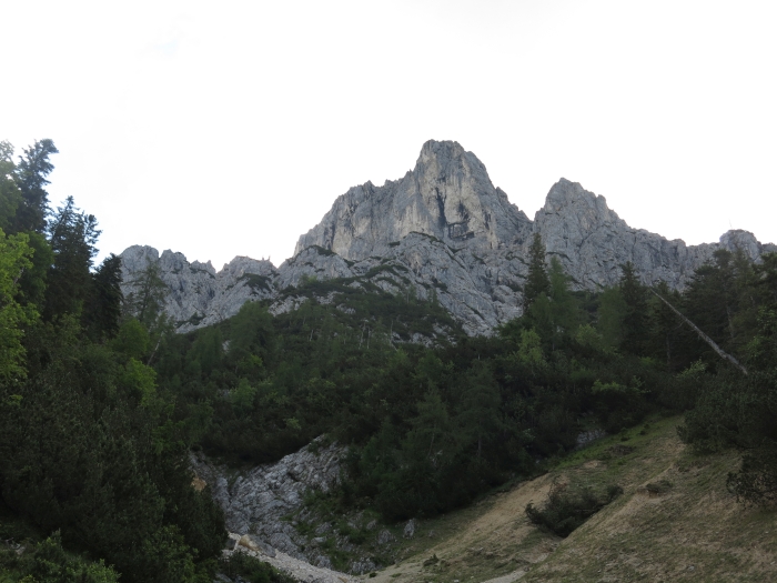Steinkarkopf