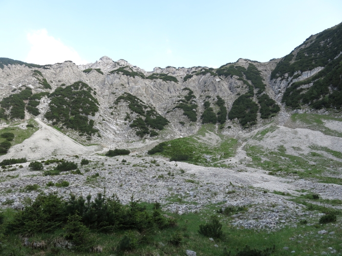 Steinkarkopf