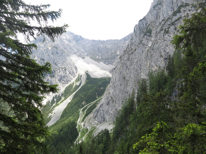 Steinkarkopf